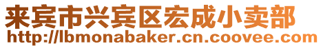 來賓市興賓區宏成小賣部