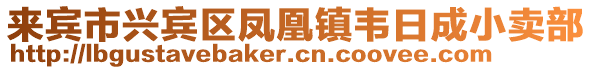 來賓市興賓區鳳凰鎮韋日成小賣部