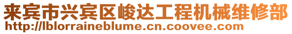 來賓市興賓區(qū)峻達工程機械維修部