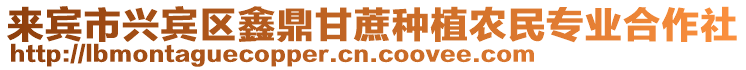 來賓市興賓區鑫鼎甘蔗種植農民專業合作社