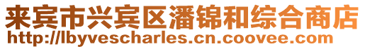 來賓市興賓區潘錦和綜合商店
