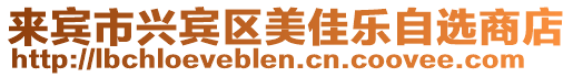 來賓市興賓區(qū)美佳樂自選商店