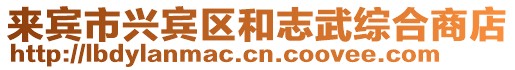 來賓市興賓區和志武綜合商店