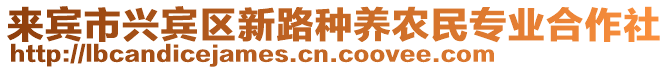 來賓市興賓區新路種養農民專業合作社