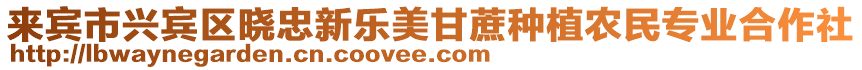 來賓市興賓區曉忠新樂美甘蔗種植農民專業合作社