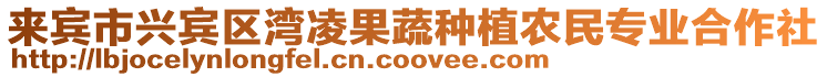 來賓市興賓區(qū)灣凌果蔬種植農(nóng)民專業(yè)合作社