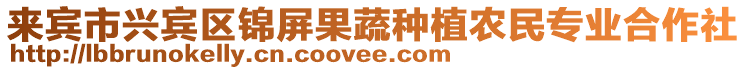 來賓市興賓區錦屏果蔬種植農民專業合作社