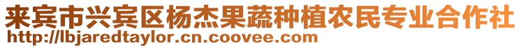 來賓市興賓區(qū)楊杰果蔬種植農(nóng)民專業(yè)合作社