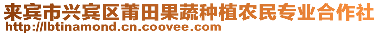 來賓市興賓區(qū)莆田果蔬種植農民專業(yè)合作社