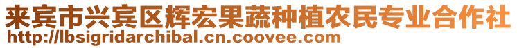來(lái)賓市興賓區(qū)輝宏果蔬種植農(nóng)民專業(yè)合作社