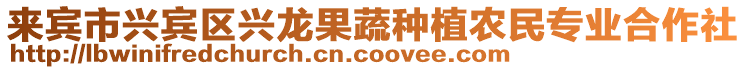 來賓市興賓區興龍果蔬種植農民專業合作社