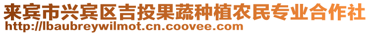 來賓市興賓區吉投果蔬種植農民專業合作社