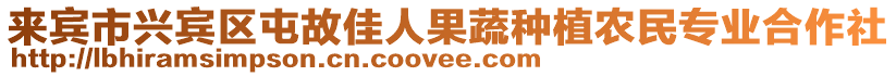 來賓市興賓區屯故佳人果蔬種植農民專業合作社