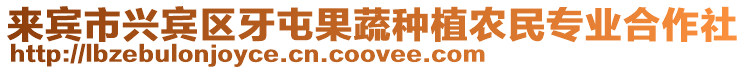 來賓市興賓區牙屯果蔬種植農民專業合作社