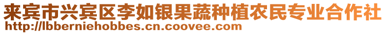 來賓市興賓區李如銀果蔬種植農民專業合作社