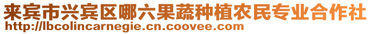 來賓市興賓區哪六果蔬種植農民專業合作社