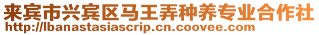來賓市興賓區(qū)馬王弄種養(yǎng)專業(yè)合作社