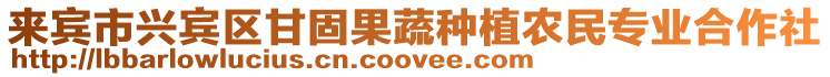 來賓市興賓區甘固果蔬種植農民專業合作社