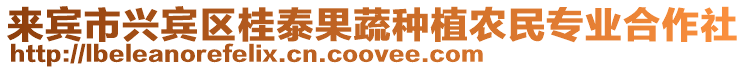 來賓市興賓區(qū)桂泰果蔬種植農民專業(yè)合作社