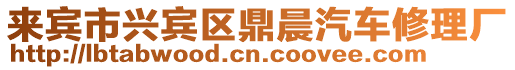 來賓市興賓區鼎晨汽車修理廠