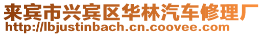 來賓市興賓區華林汽車修理廠