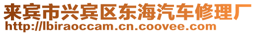來賓市興賓區東海汽車修理廠