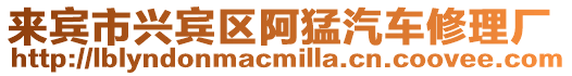 來賓市興賓區(qū)阿猛汽車修理廠