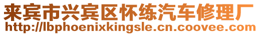 來賓市興賓區懷練汽車修理廠