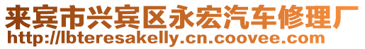 來賓市興賓區(qū)永宏汽車修理廠