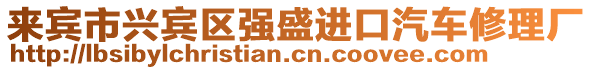 來賓市興賓區強盛進口汽車修理廠