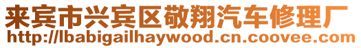 來賓市興賓區敬翔汽車修理廠