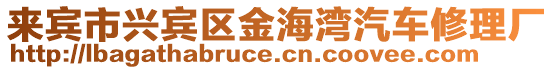 來賓市興賓區(qū)金海灣汽車修理廠