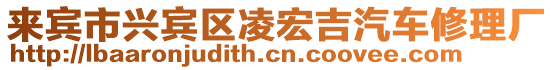 來賓市興賓區凌宏吉汽車修理廠