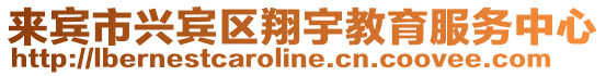 來賓市興賓區翔宇教育服務中心