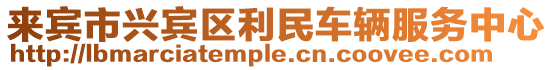 來賓市興賓區利民車輛服務中心