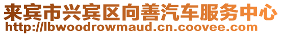 來賓市興賓區向善汽車服務中心