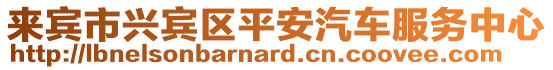 來賓市興賓區(qū)平安汽車服務(wù)中心