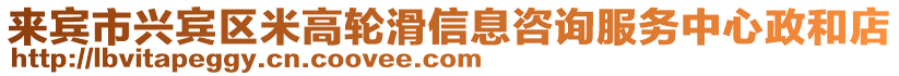 來賓市興賓區米高輪滑信息咨詢服務中心政和店