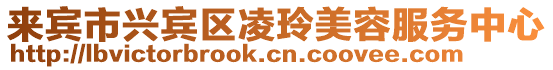 來賓市興賓區凌玲美容服務中心