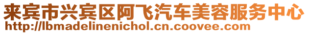 來賓市興賓區(qū)阿飛汽車美容服務(wù)中心