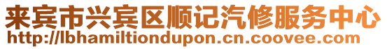 來賓市興賓區(qū)順記汽修服務中心