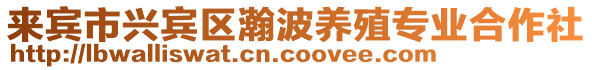 來賓市興賓區瀚波養殖專業合作社
