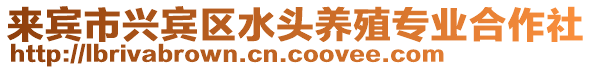 來賓市興賓區水頭養殖專業合作社
