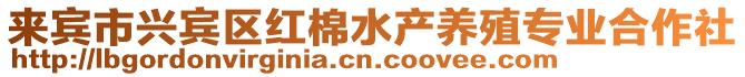 來賓市興賓區紅棉水產養殖專業合作社