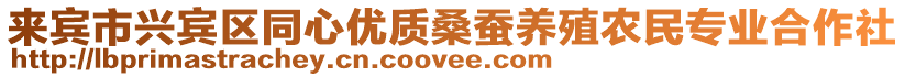來賓市興賓區同心優質桑蠶養殖農民專業合作社