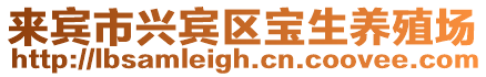 來賓市興賓區(qū)寶生養(yǎng)殖場