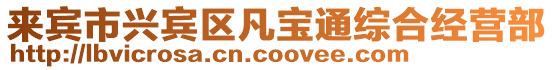 來賓市興賓區凡寶通綜合經營部