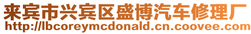 來賓市興賓區盛博汽車修理廠