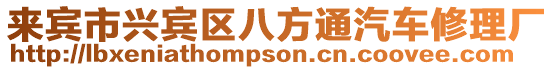 來賓市興賓區八方通汽車修理廠
