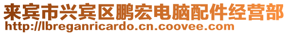 來賓市興賓區鵬宏電腦配件經營部